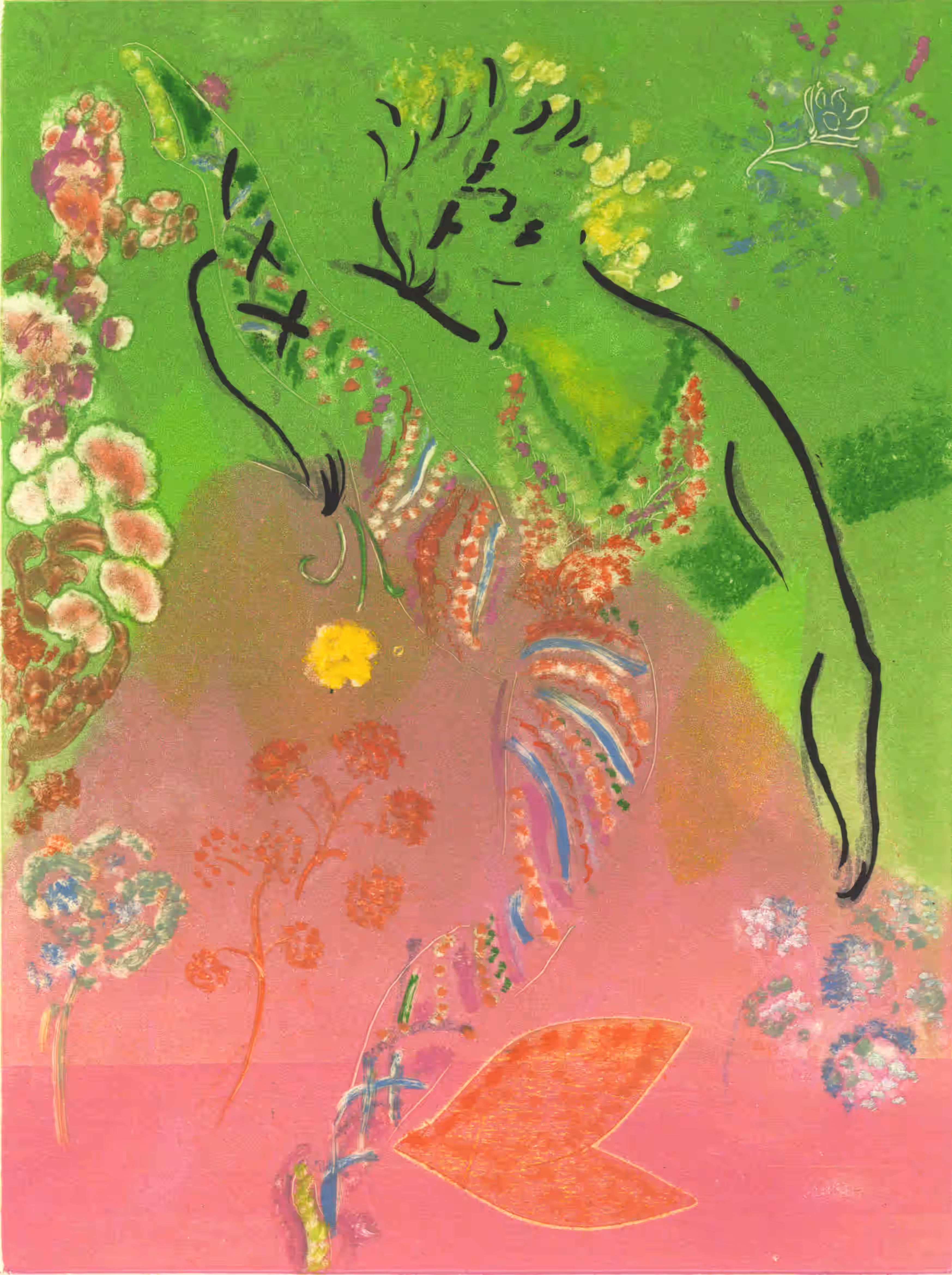 George the Acrobat IV