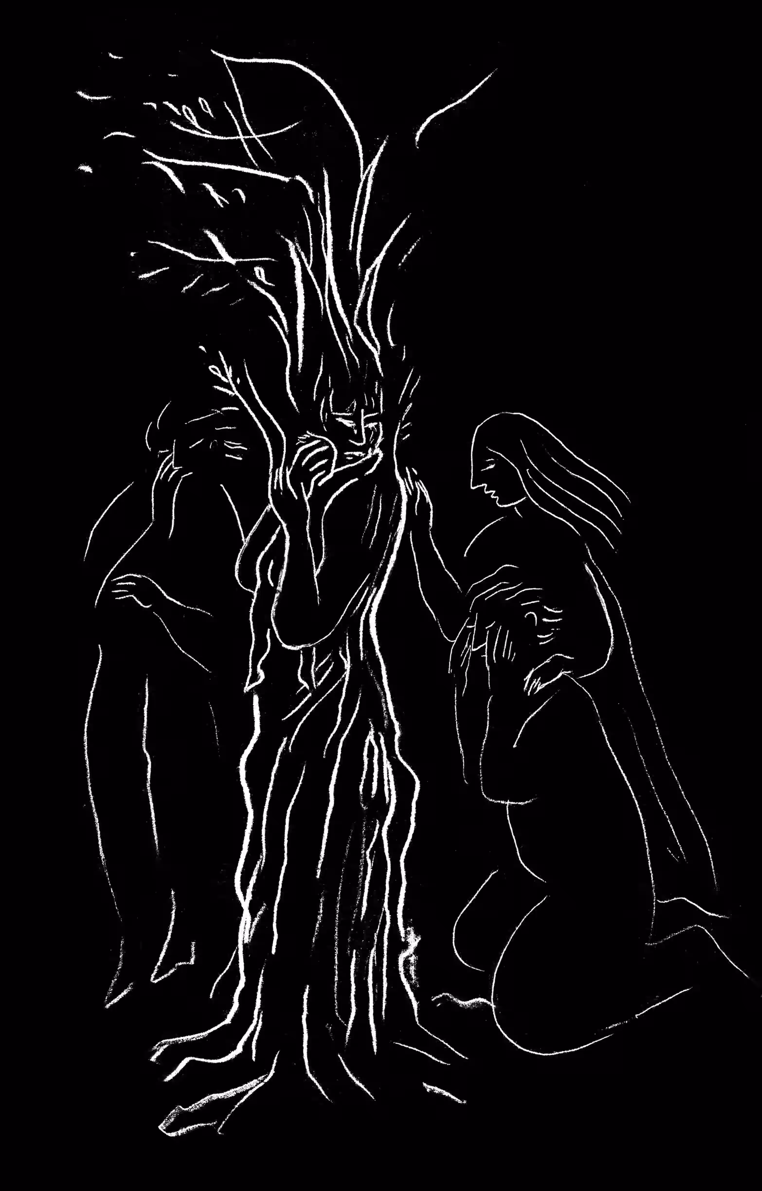 Les Metamorphoses d'Ovid, Illustration IX